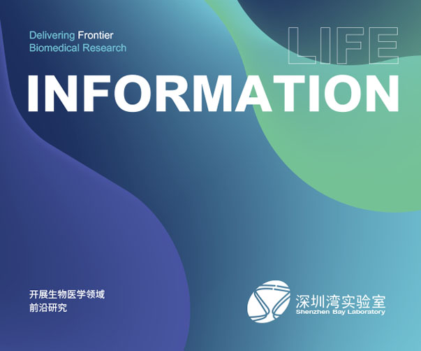 海vi設計公司總監王總分享他否犯過這些設計錯誤